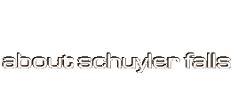 about schuyler falls